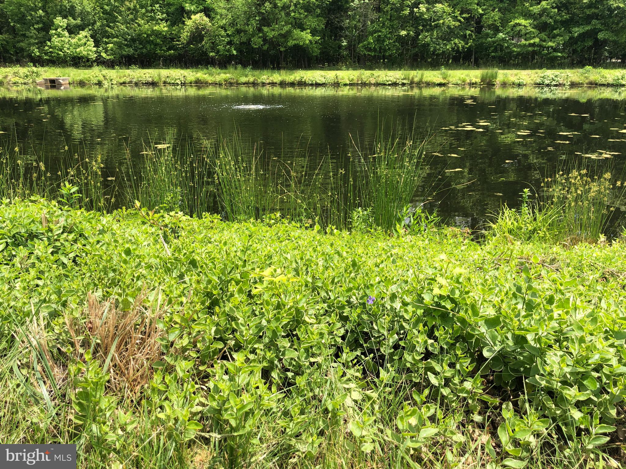 739 Cascade Drive North Mount Laurel, NJ 08054 - Photo 12 of 61