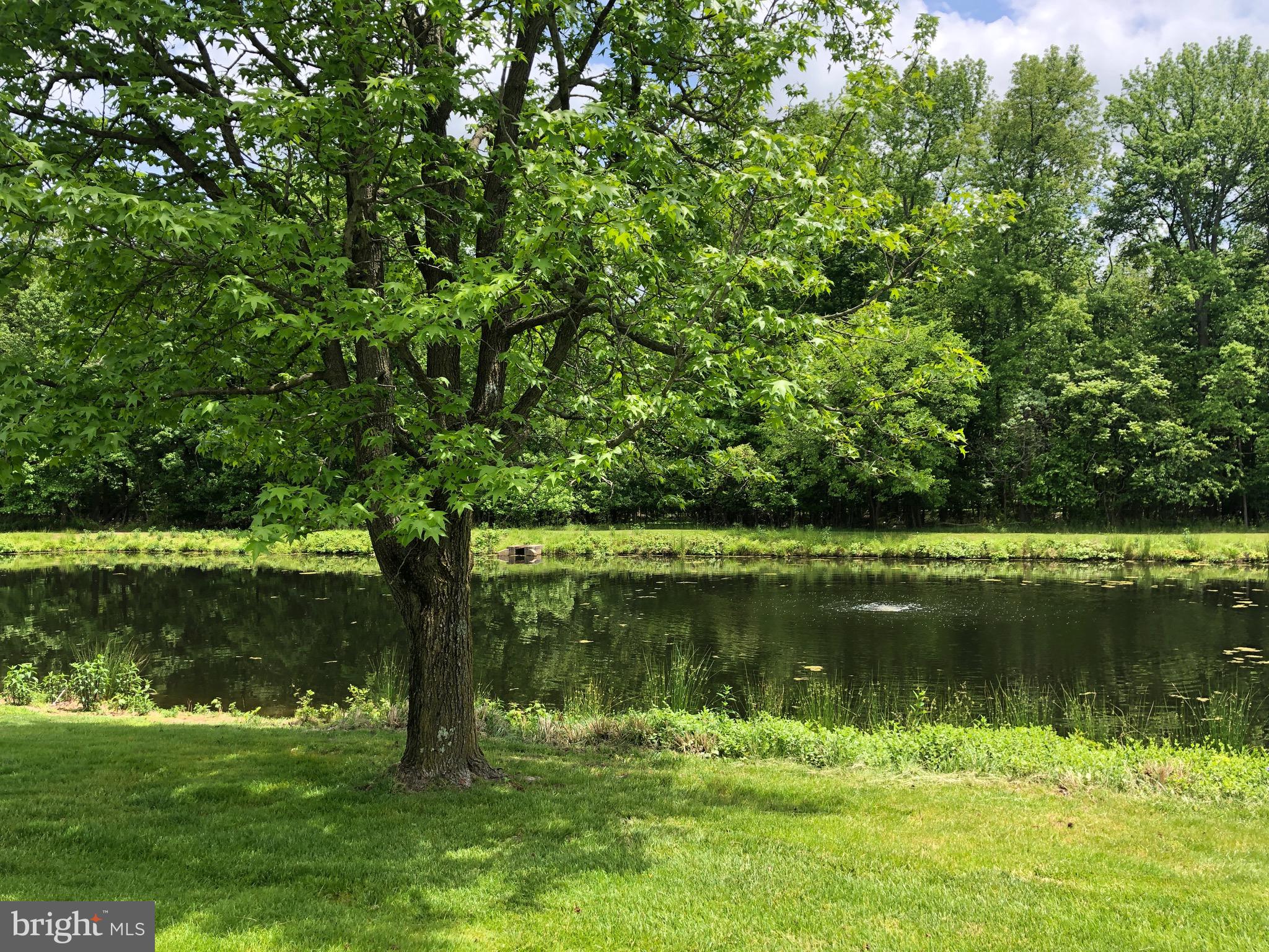 739 Cascade Drive North Mount Laurel, NJ 08054 - Photo 4 of 61