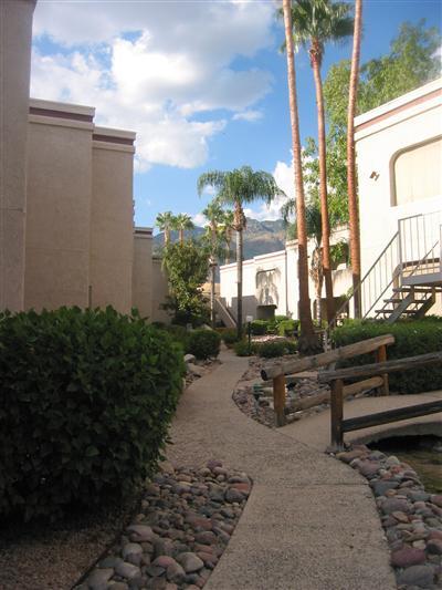5500 North Valley View Road, Unit 224 Tucson, AZ 85718 - Photo 9 of 10