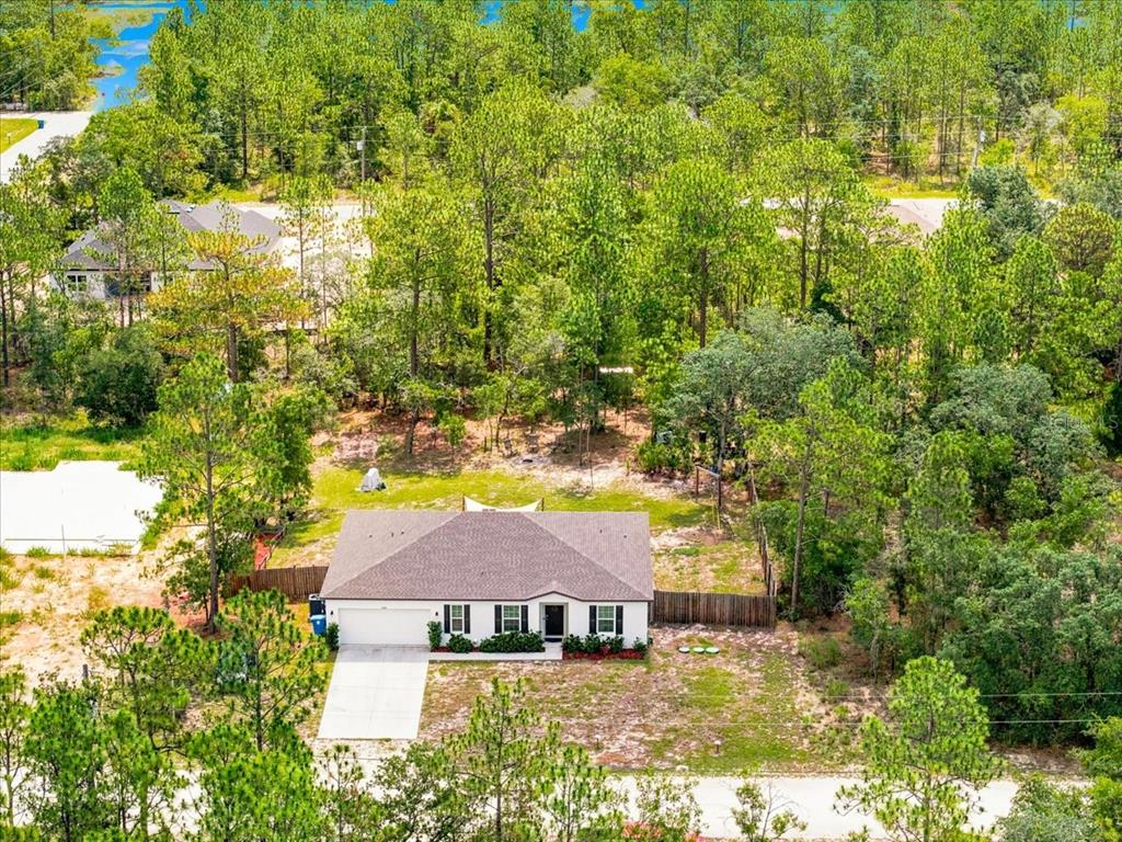 15186 Duck Hawk Road Weeki Wachee, FL 34614 - Photo 6 of 62