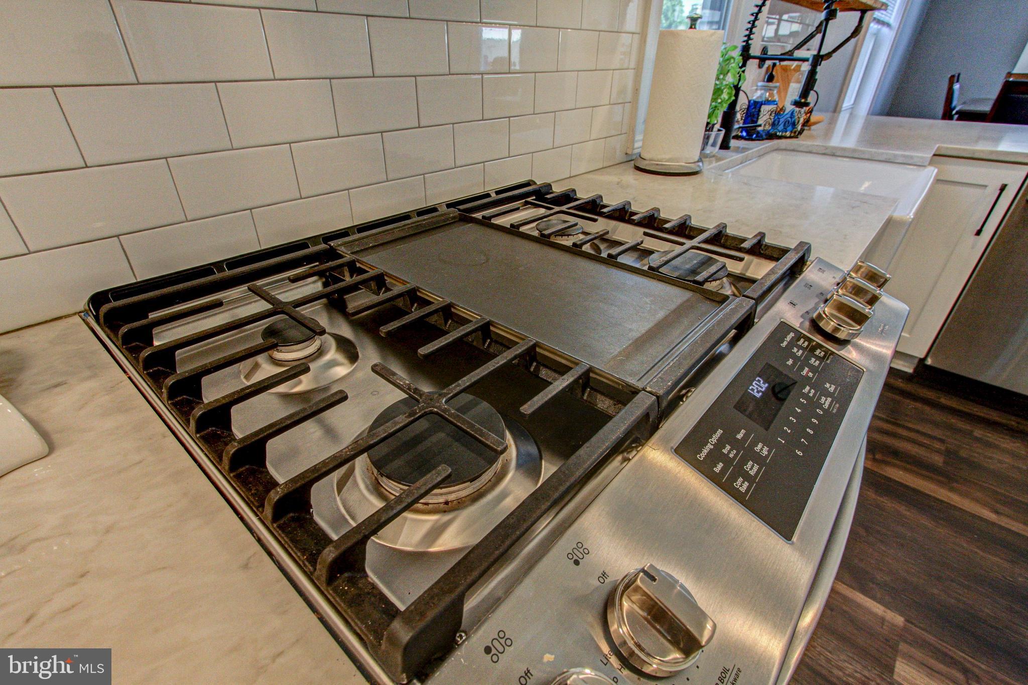 Gas Stove w/ Griddle