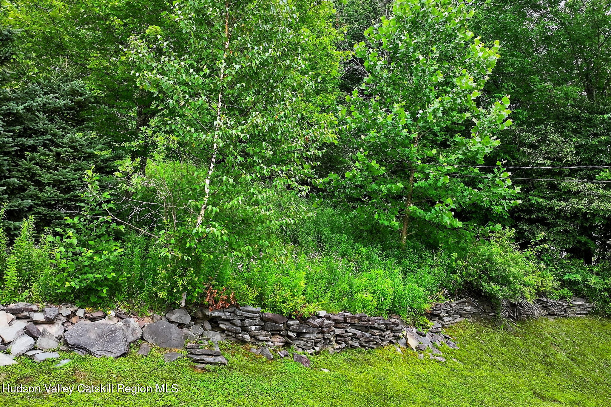 442 Mitchell Hollow Road Windham, NY 12496 - Photo 31 of 42 52-web-or-mls-442-mitchell-hollow-rd