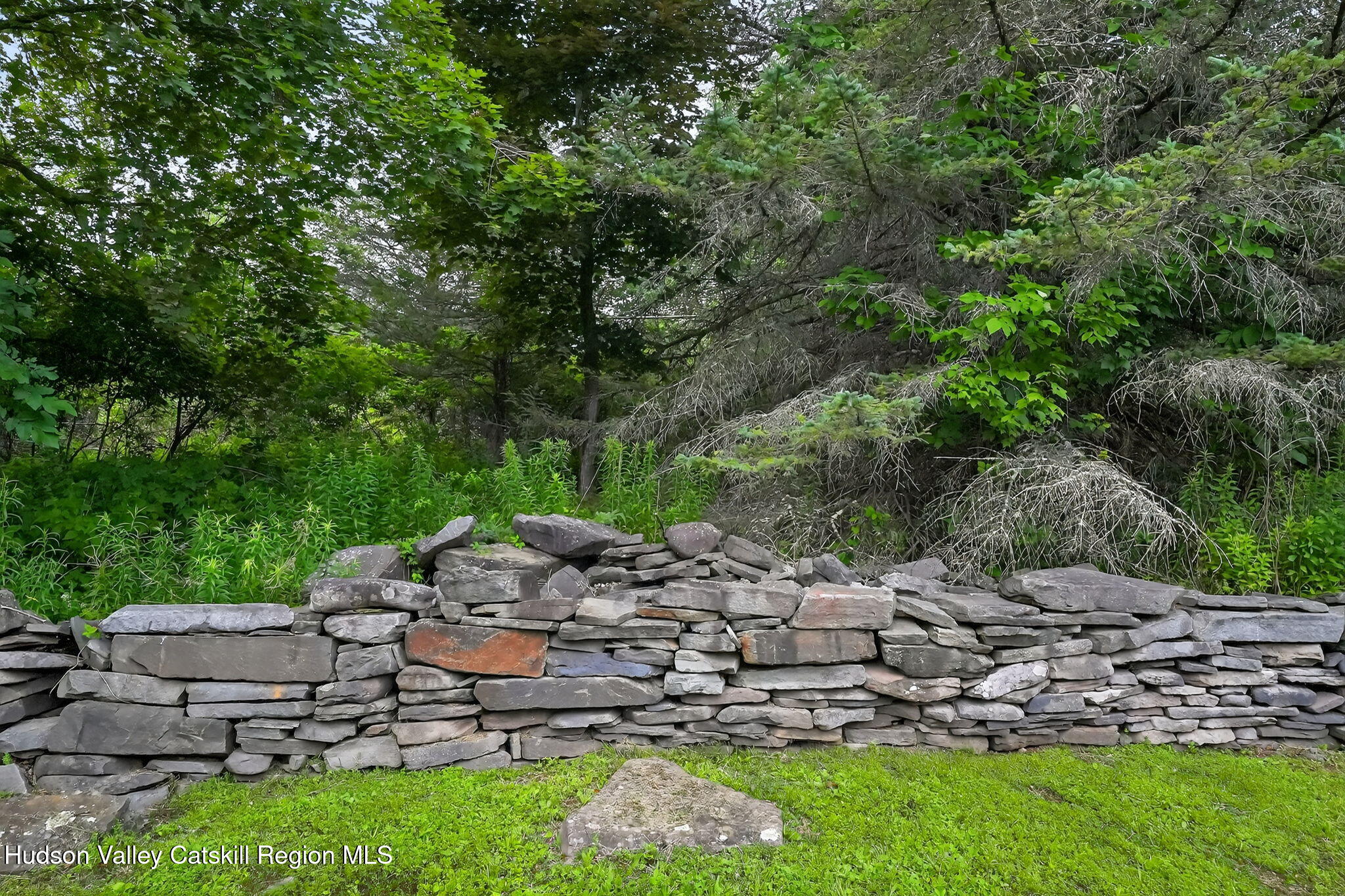 442 Mitchell Hollow Road Windham, NY 12496 - Photo 33 of 42 58-web-or-mls-442-mitchell-hollow-rd