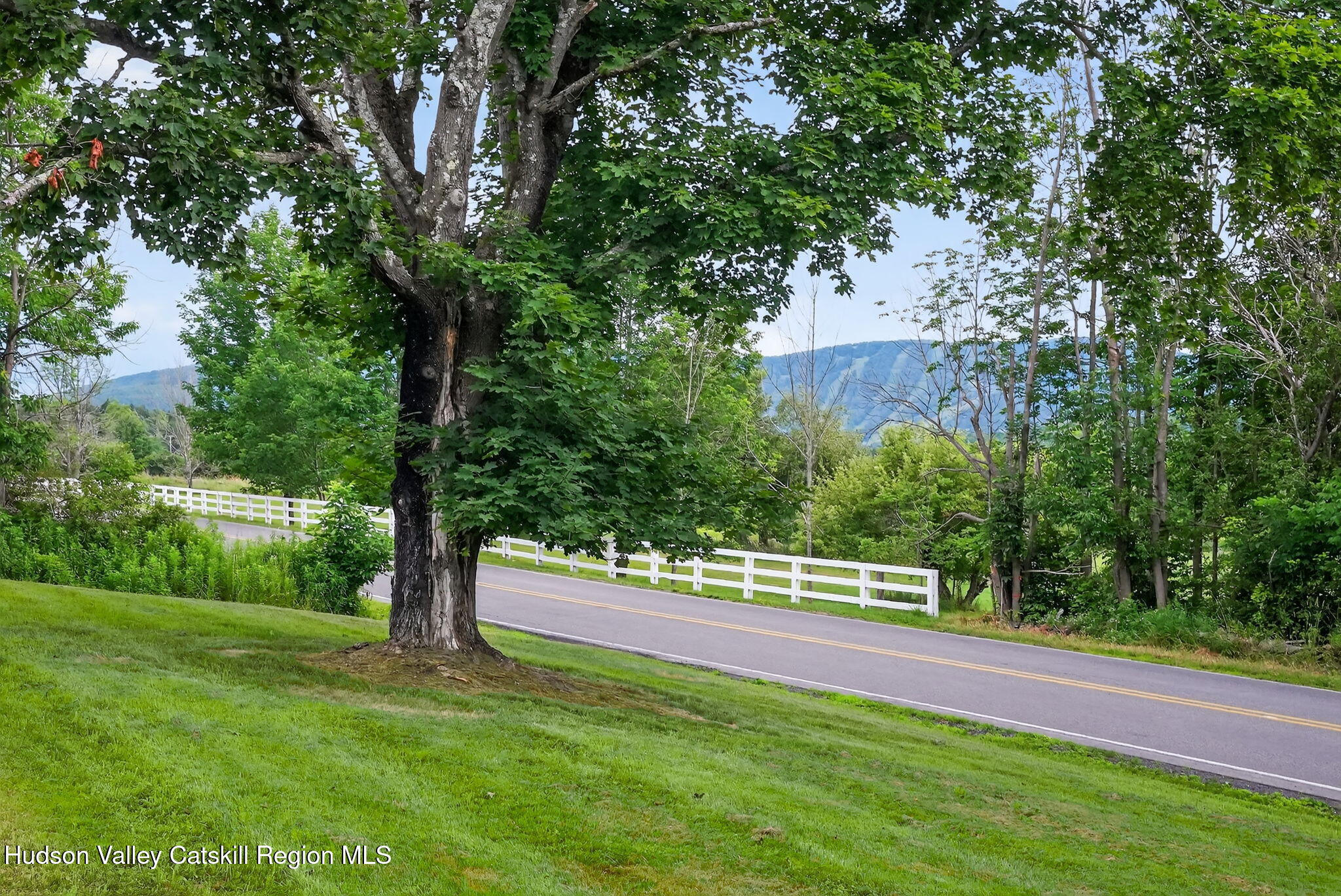 442 Mitchell Hollow Road Windham, NY 12496 - Photo 34 of 42 56-web-or-mls-442-mitchell-hollow-rd