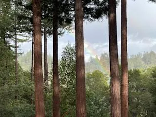 $495,000 | 12845 Love Creek Road, Ben Lomond, CA 95005