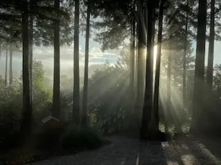 $495,000 | 12845 Love Creek Road, Ben Lomond, CA 95005