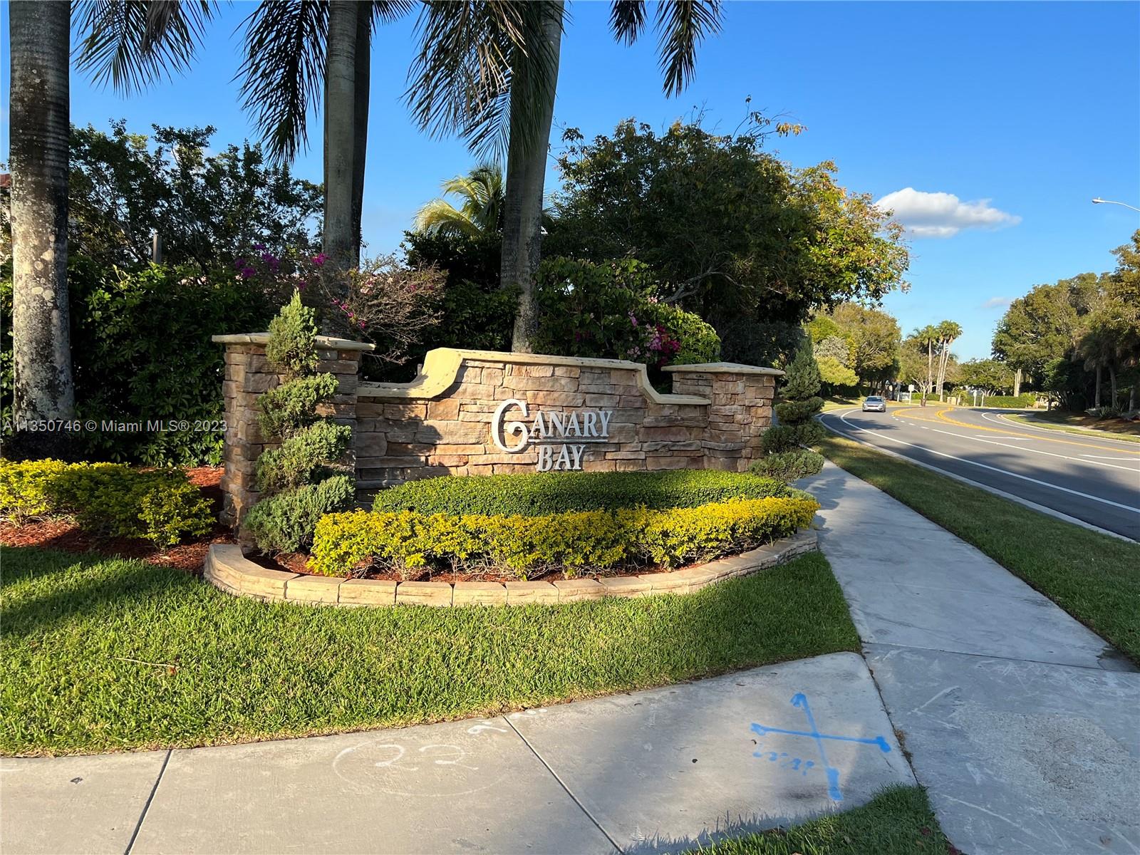 a view of a swimming pool with a garden
