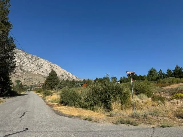 a view of a yard with a pathway
