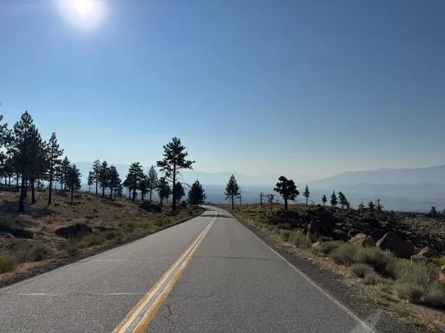 a view of a city street with trees