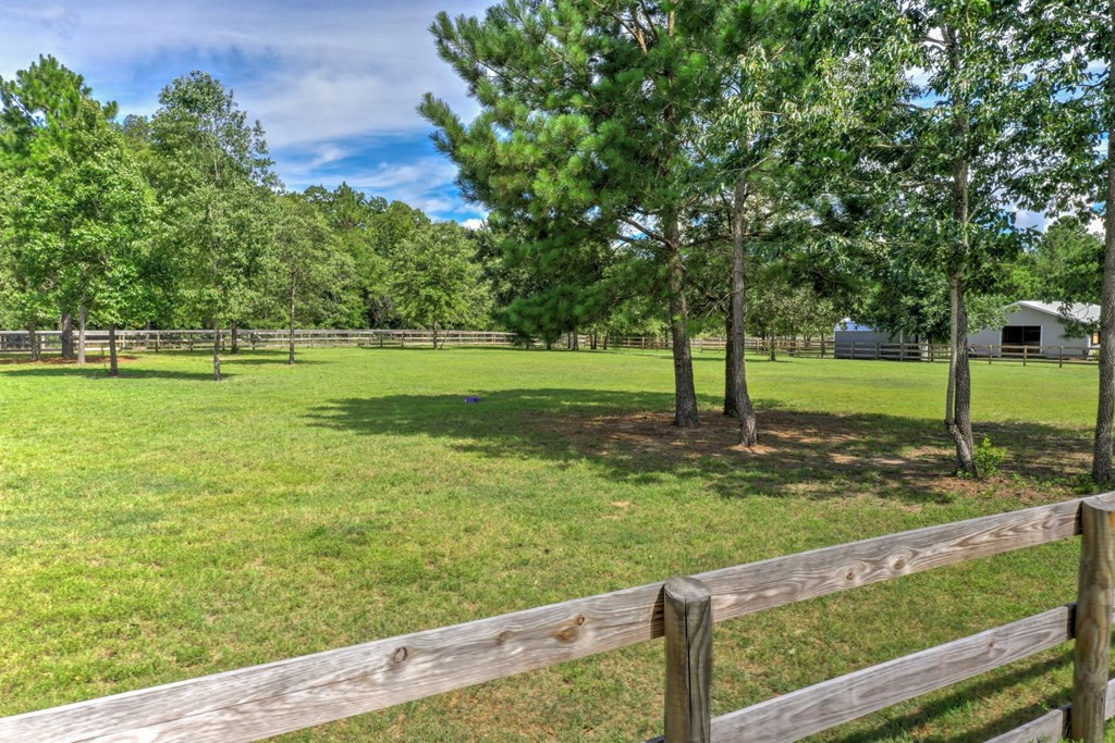 175 Briarwood Road Windsor, SC 29856 - Photo 38 of 56
