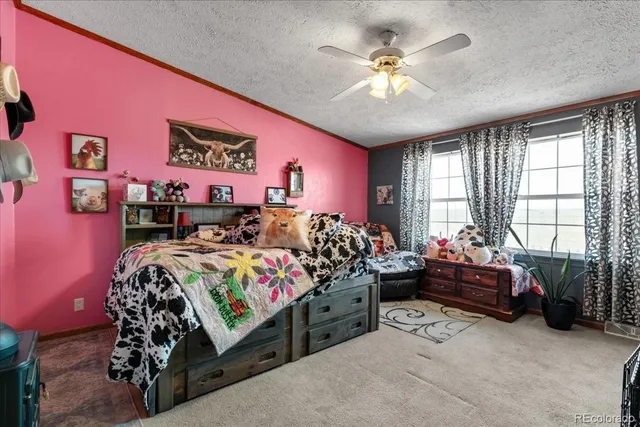 $459,900 | 57048 County Road 21, Carr, CO 80612