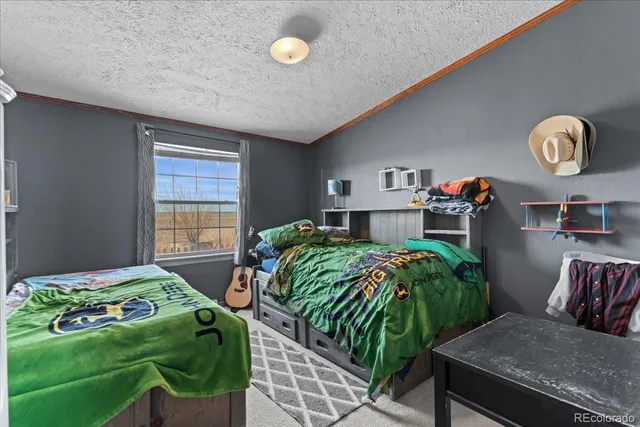 $459,900 | 57048 County Road 21, Carr, CO 80612