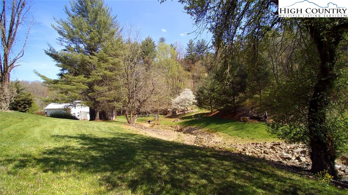 3772 Spring Valley Road Elk Creek, VA 24326 - Photo 23 of 30 a view of a tree in a yard