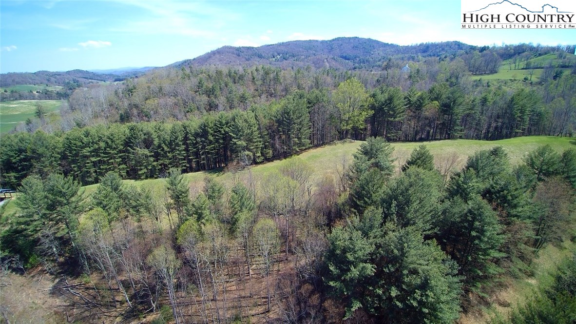 3772 Spring Valley Road Elk Creek, VA 24326 - Photo 28 of 30 a view of a lush green forest with mountains in the background