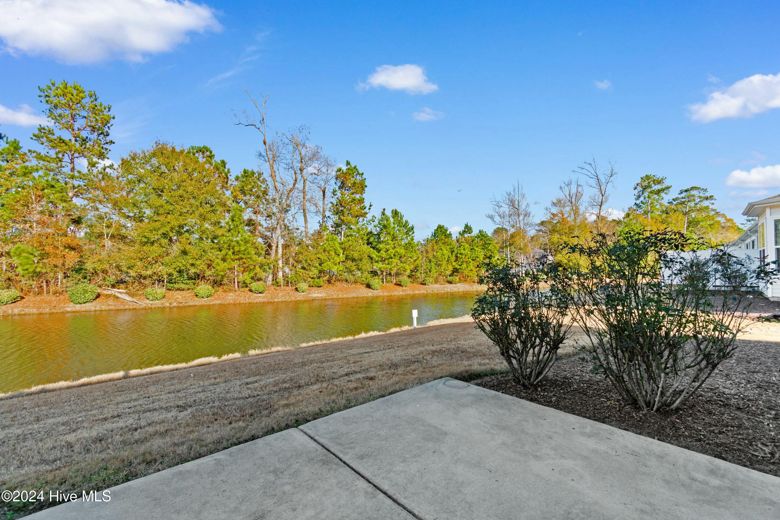 1541 Palmina Loop, Unit D Myrtle Beach, SC 29588 - Photo 34 of 48 tempImageWCfatF