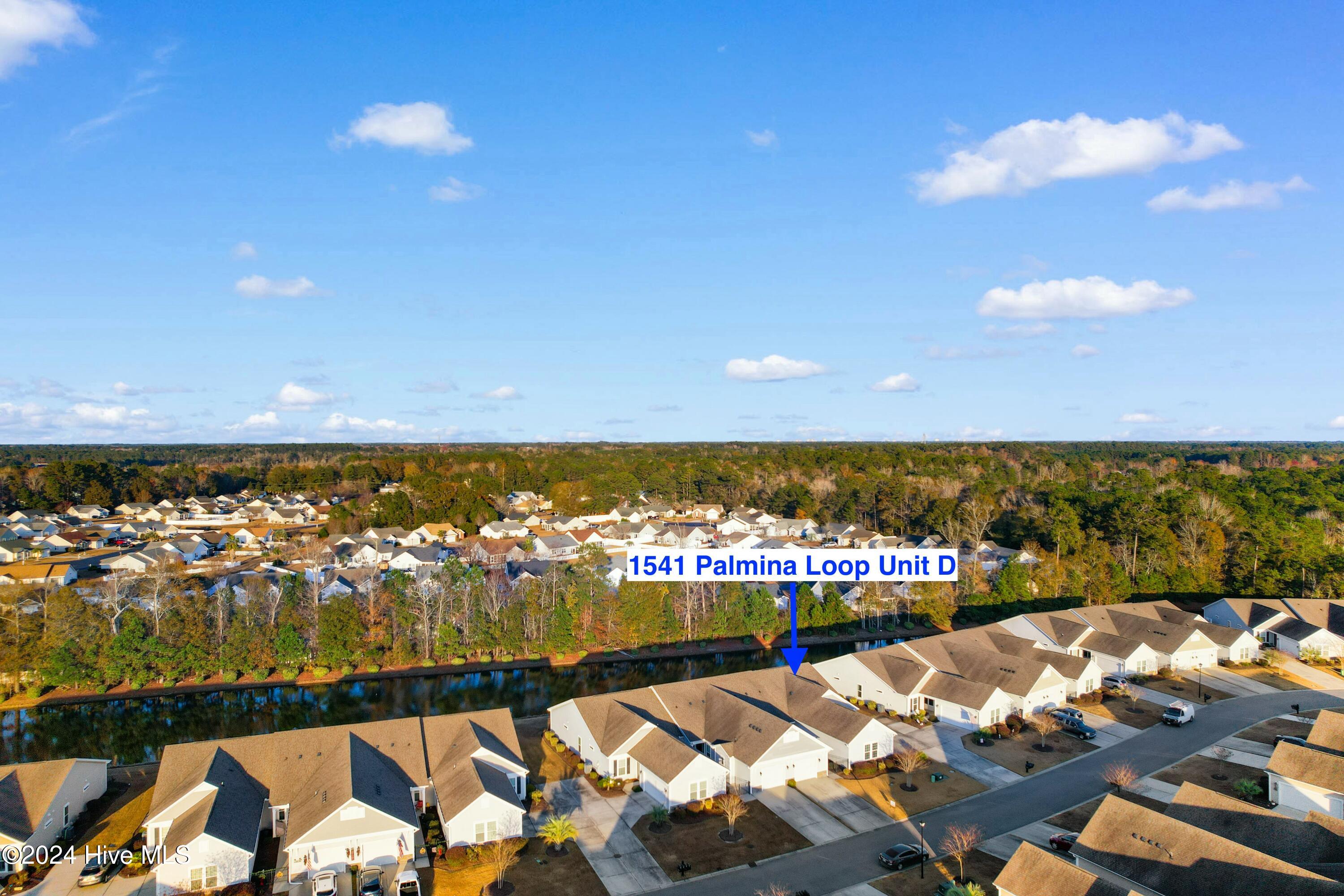 1541 Palmina Loop, Unit D Myrtle Beach, SC 29588 - Photo 38 of 48 tempImage8ATcq3