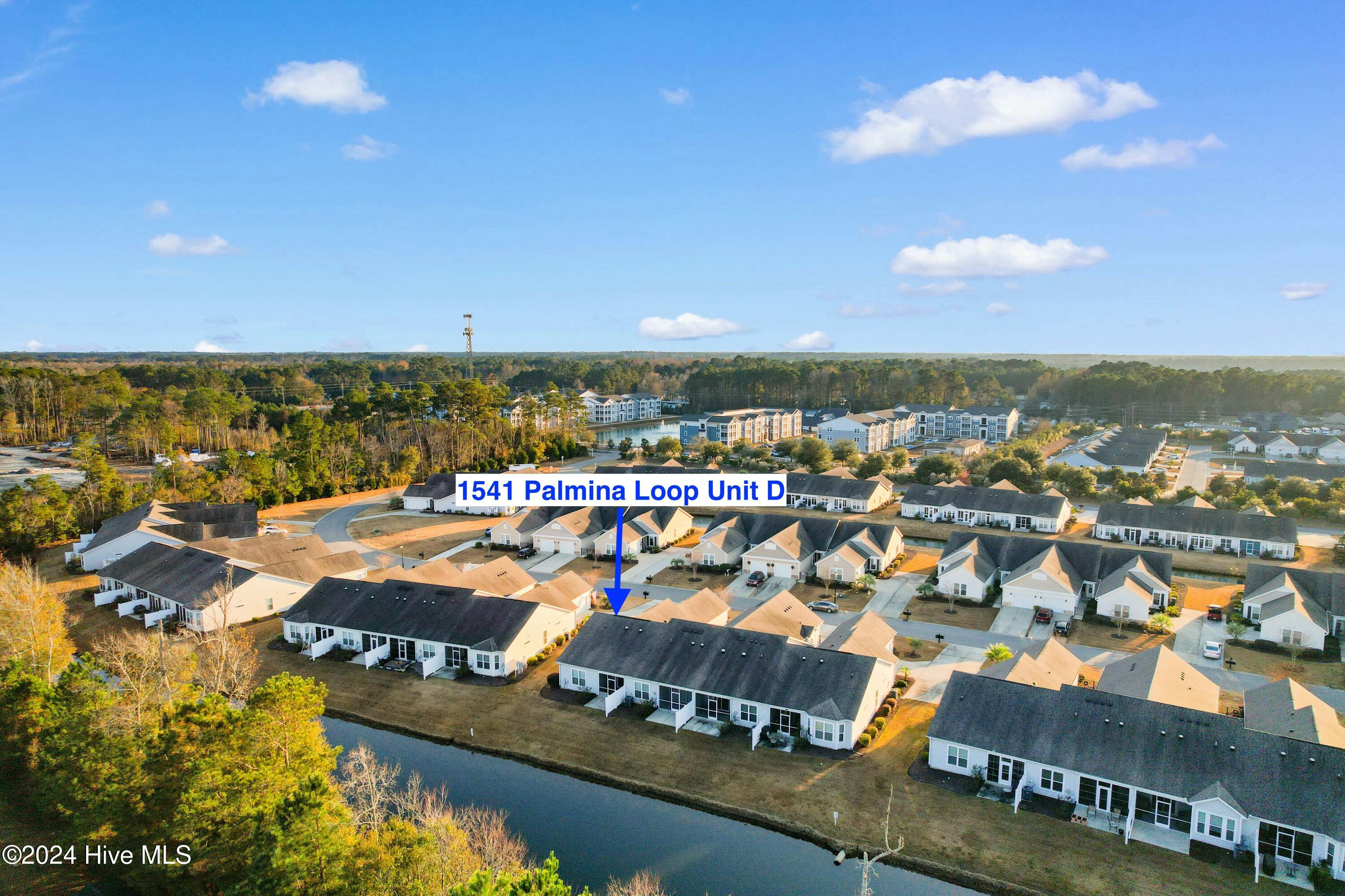 1541 Palmina Loop, Unit D Myrtle Beach, SC 29588 - Photo 44 of 48 tempImagetJ0zS2