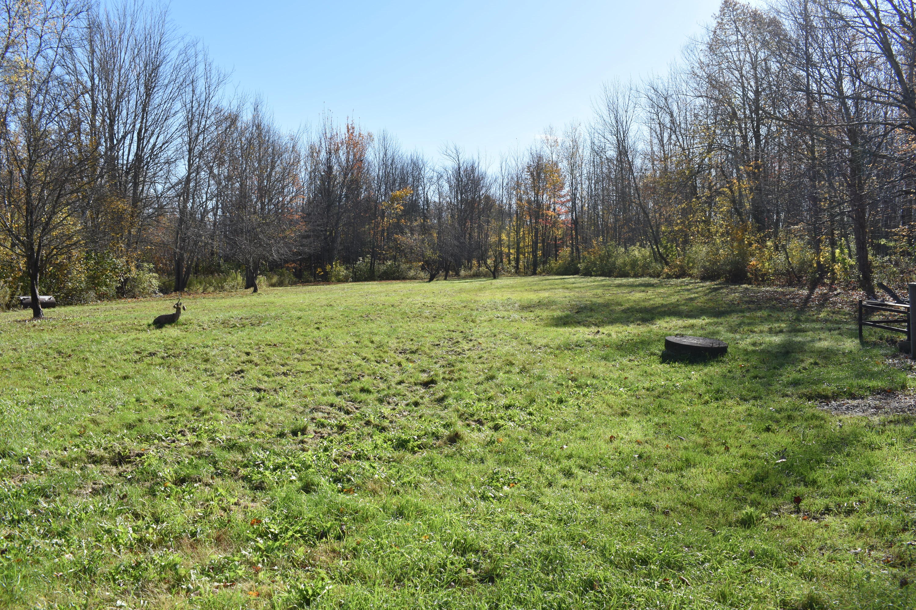 302 Enfield Road Lincoln, ME 04457 - Photo 18 of 20 DSC_0081