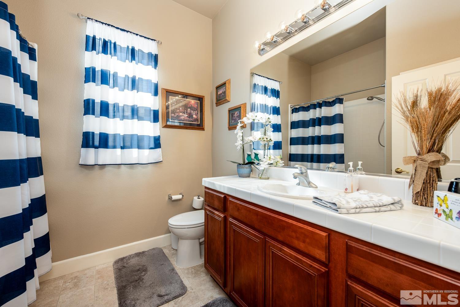 2603 Skyline Drive Minden, NV 89423 - Photo 26 of 40 a bathroom with a sink and a mirror