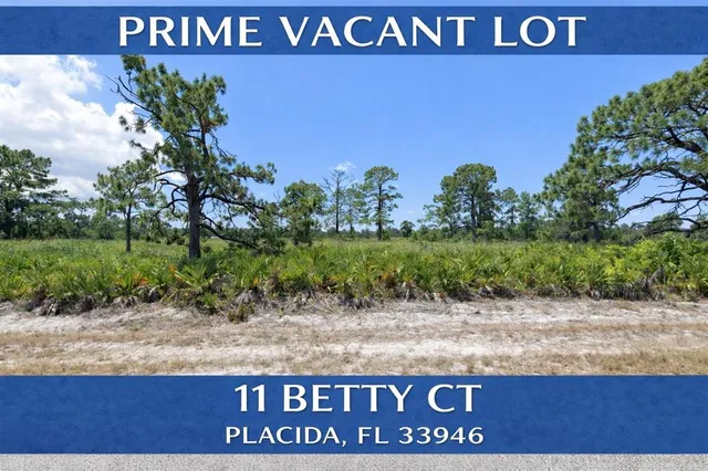 $25,000 | 11 Betty Court, Placida, FL 33946