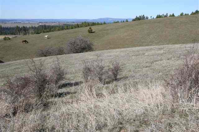 16640 East Foothills (apprx) Road Spokane, WA 99217 - Photo 2 of 9 Gallery Image 2