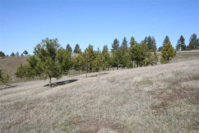 16640 East Foothills (apprx) Road Spokane, WA 99217 - Photo 3 of 9 Gallery Image 3
