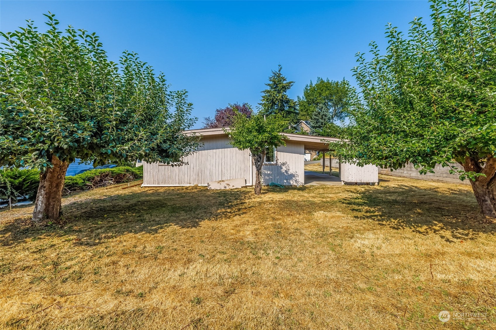 1213 North 33rd Street Renton, WA 98056 - Photo 19 of 28 a view of a house with backyard and trees