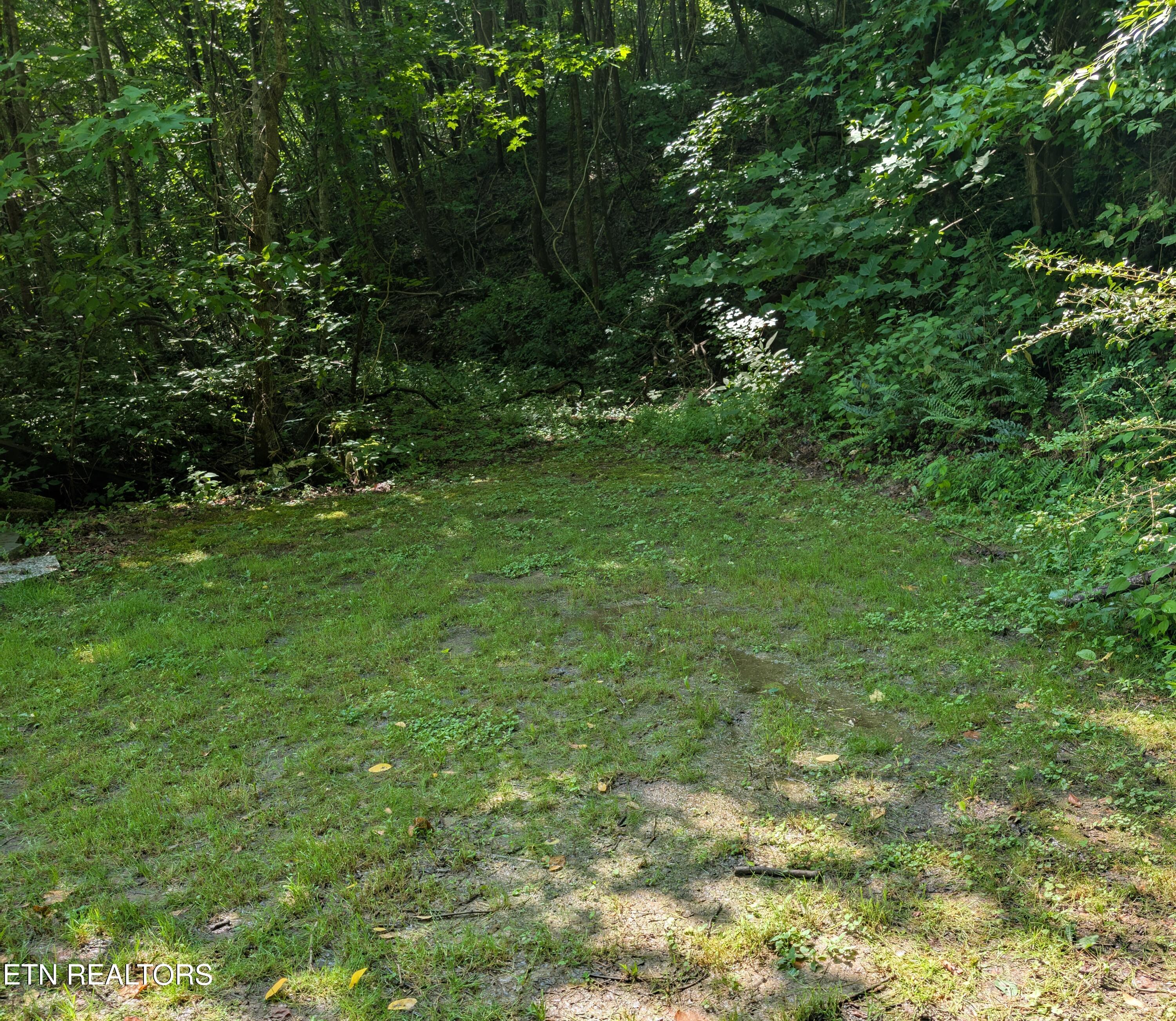 0 Bowling Road Middlesboro, KY 40965 - Photo 2 of 5 1000018292