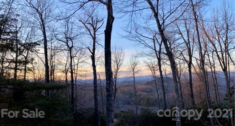514 Uplands Road Brevard, NC 28712 - Photo 3 of 36 Gallery Image 3