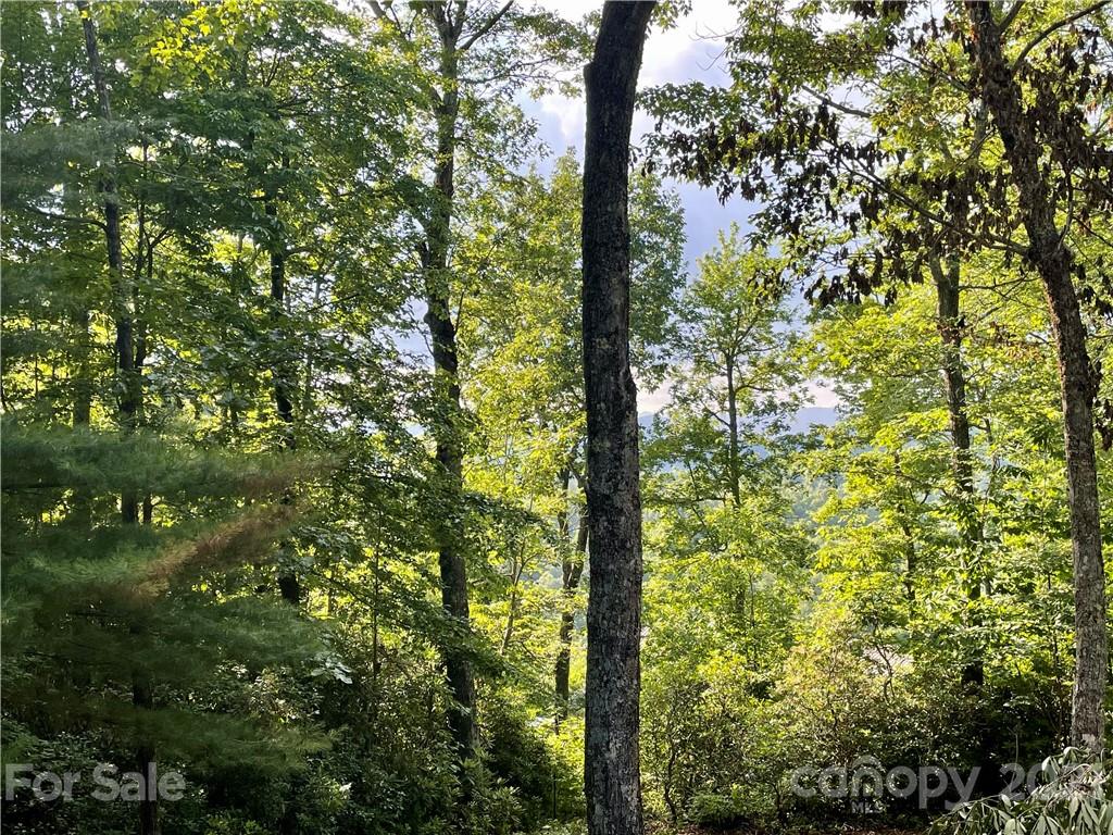 514 Uplands Road Brevard, NC 28712 - Photo 28 of 36 Gallery Image 28