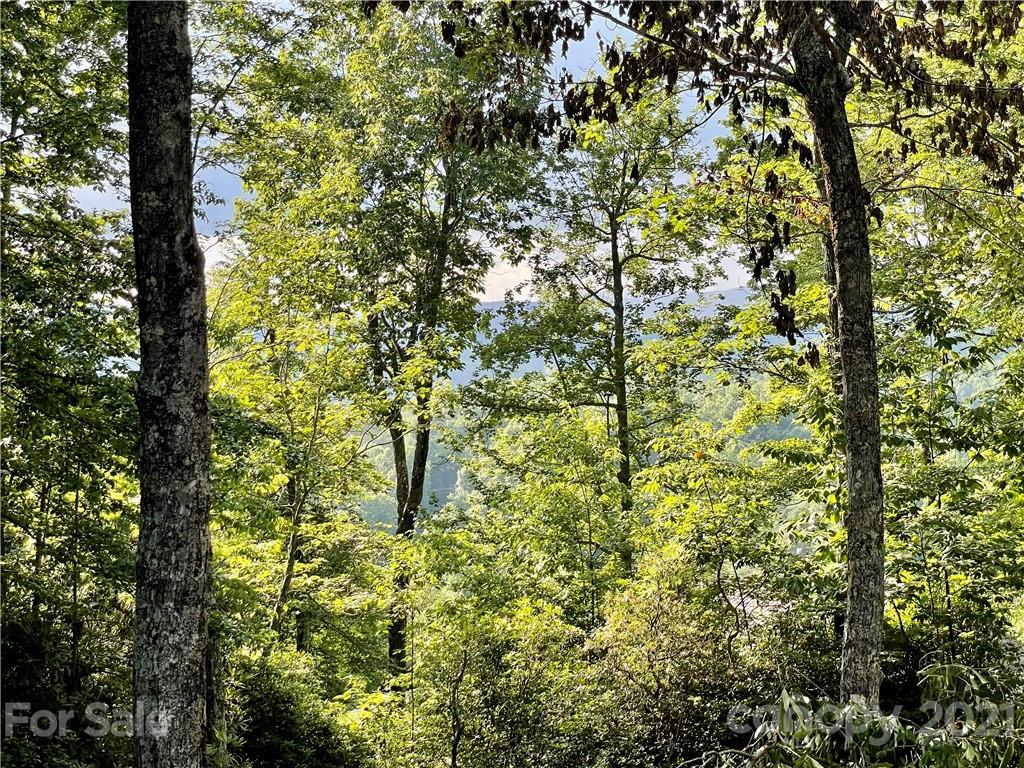 514 Uplands Road Brevard, NC 28712 - Photo 35 of 36 Gallery Image 35