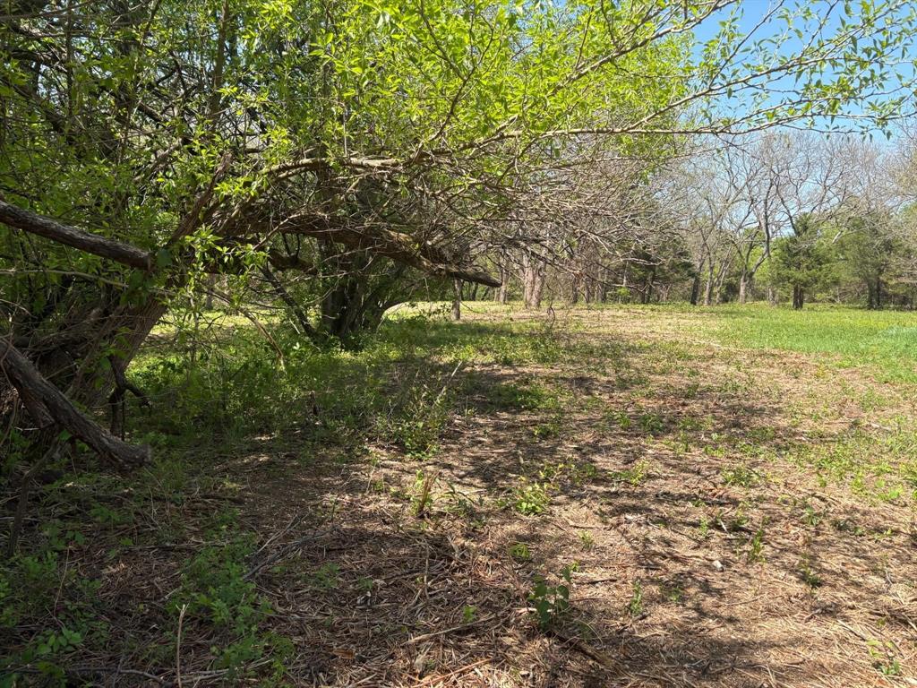 200 Rockport Road Sherman, TX 75092 - Photo 12 of 13