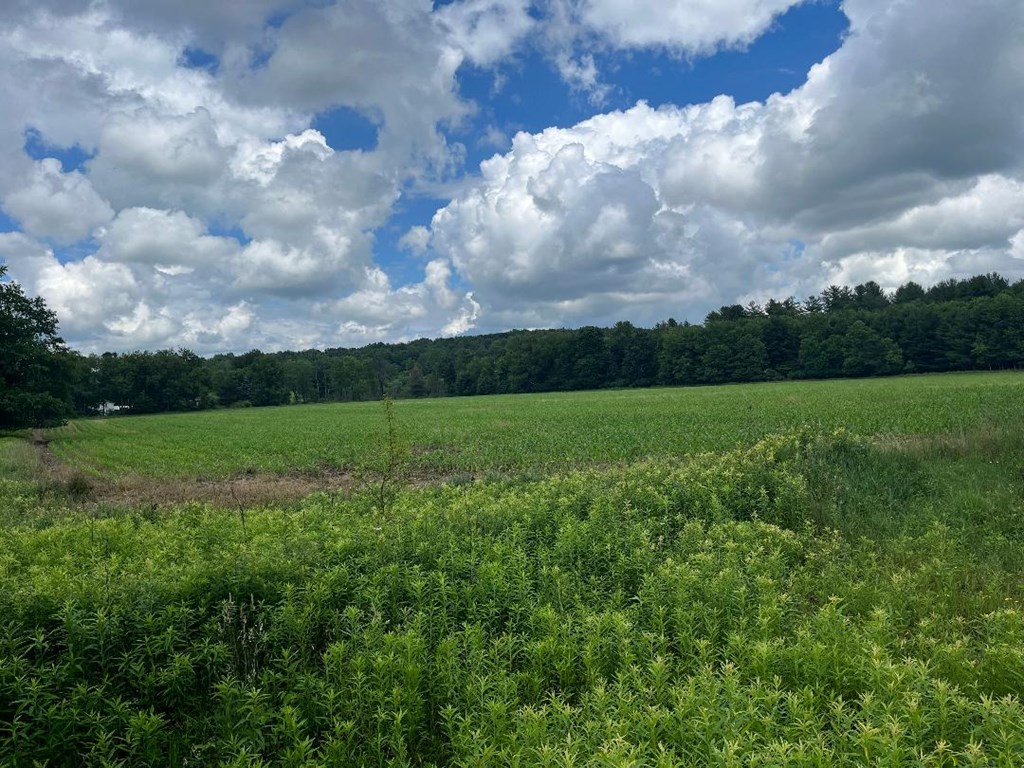 4681 Oil Creek Road Spring Creek, PA 16436 - Photo 28 of 32