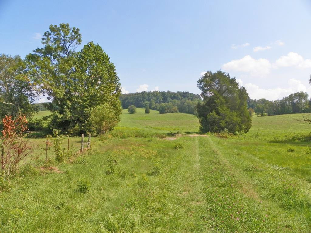 Tbd Sinking Creek Road Bristol, VA 24202 - Photo 1 of 12 Photo 1