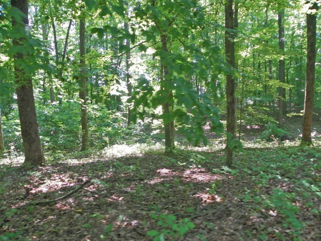 Tbd Sinking Creek Road Bristol, VA 24202 - Photo 12 of 12 Photo 12