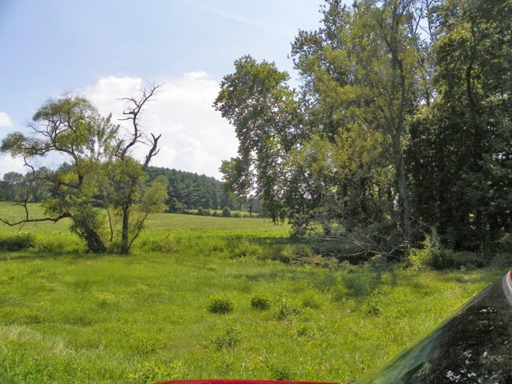 Tbd Sinking Creek Road Bristol, VA 24202 - Photo 2 of 12 Photo 2