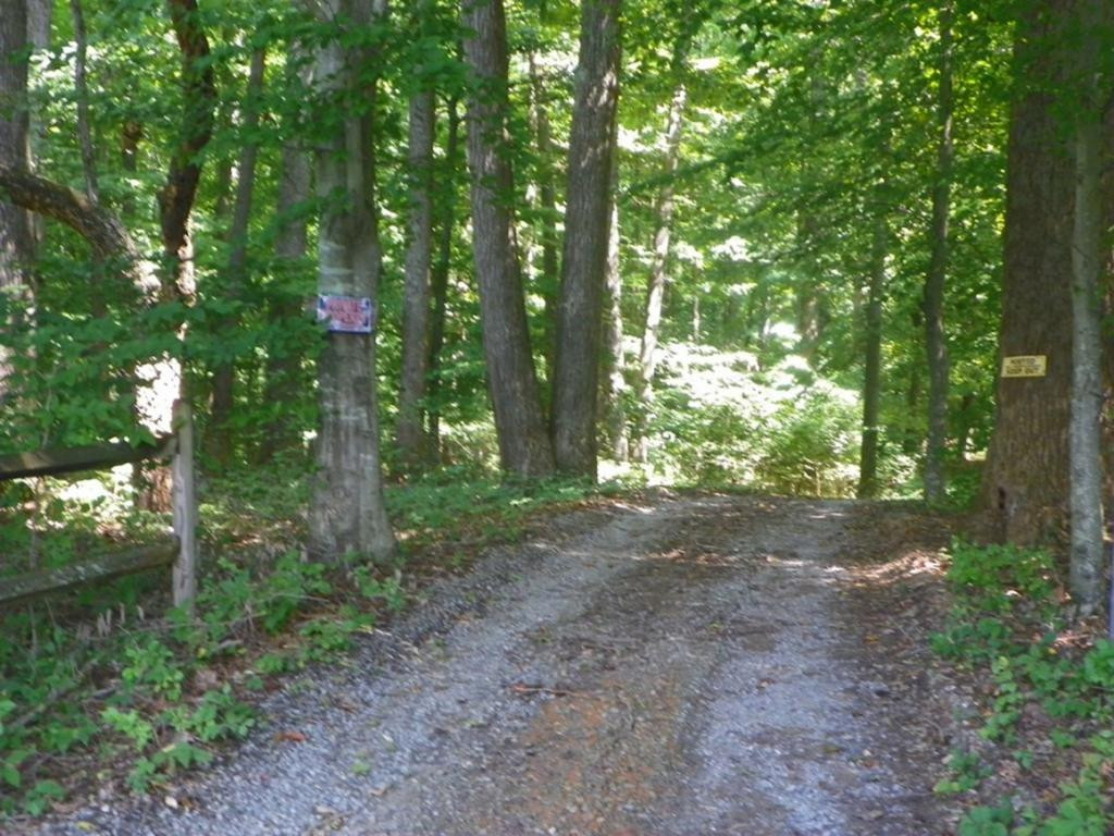Tbd Sinking Creek Road Bristol, VA 24202 - Photo 4 of 12 Photo 4