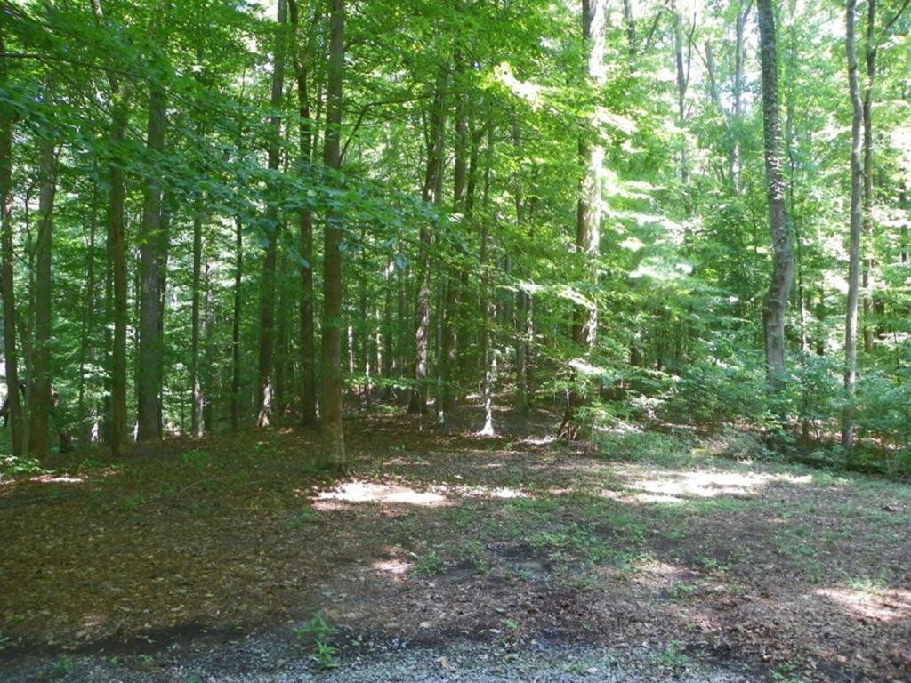 Tbd Sinking Creek Road Bristol, VA 24202 - Photo 9 of 12 Photo 9