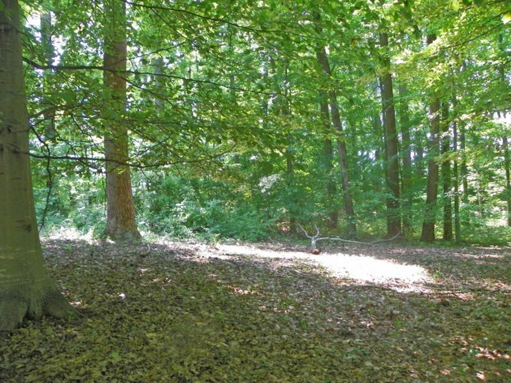 Tbd Sinking Creek Road Bristol, VA 24202 - Photo 10 of 12 Photo 10