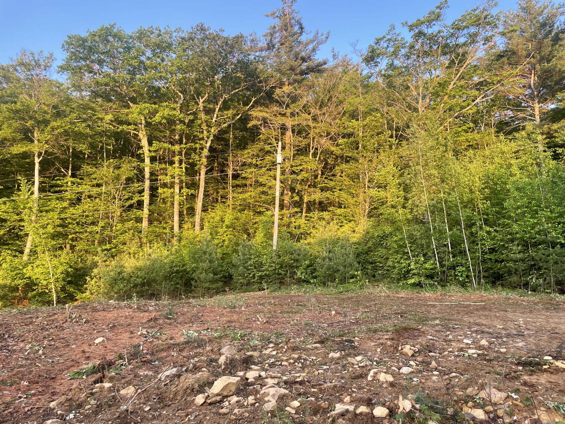 6 Buttonwood Road Holderness, NH 03245 - Photo 11 of 25