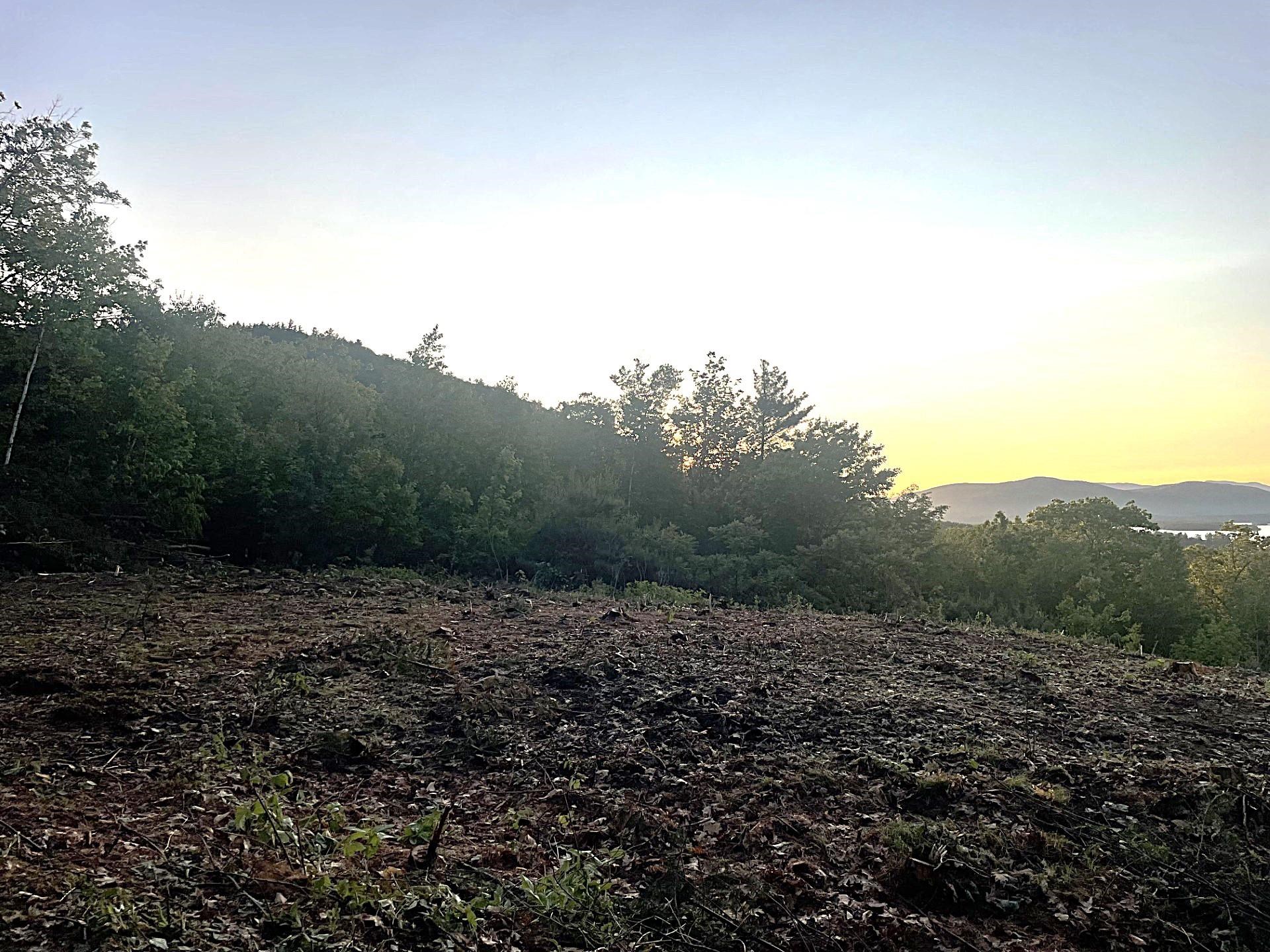 6 Buttonwood Road Holderness, NH 03245 - Photo 12 of 25