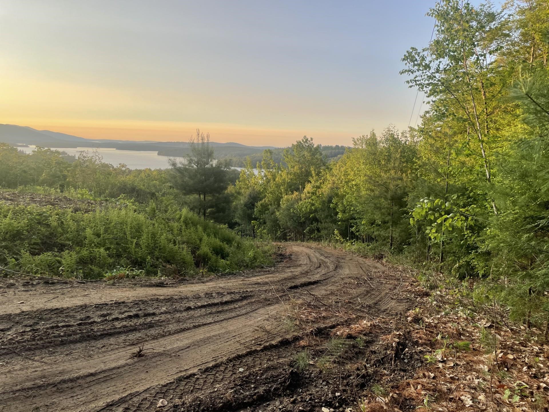6 Buttonwood Road Holderness, NH 03245 - Photo 13 of 25