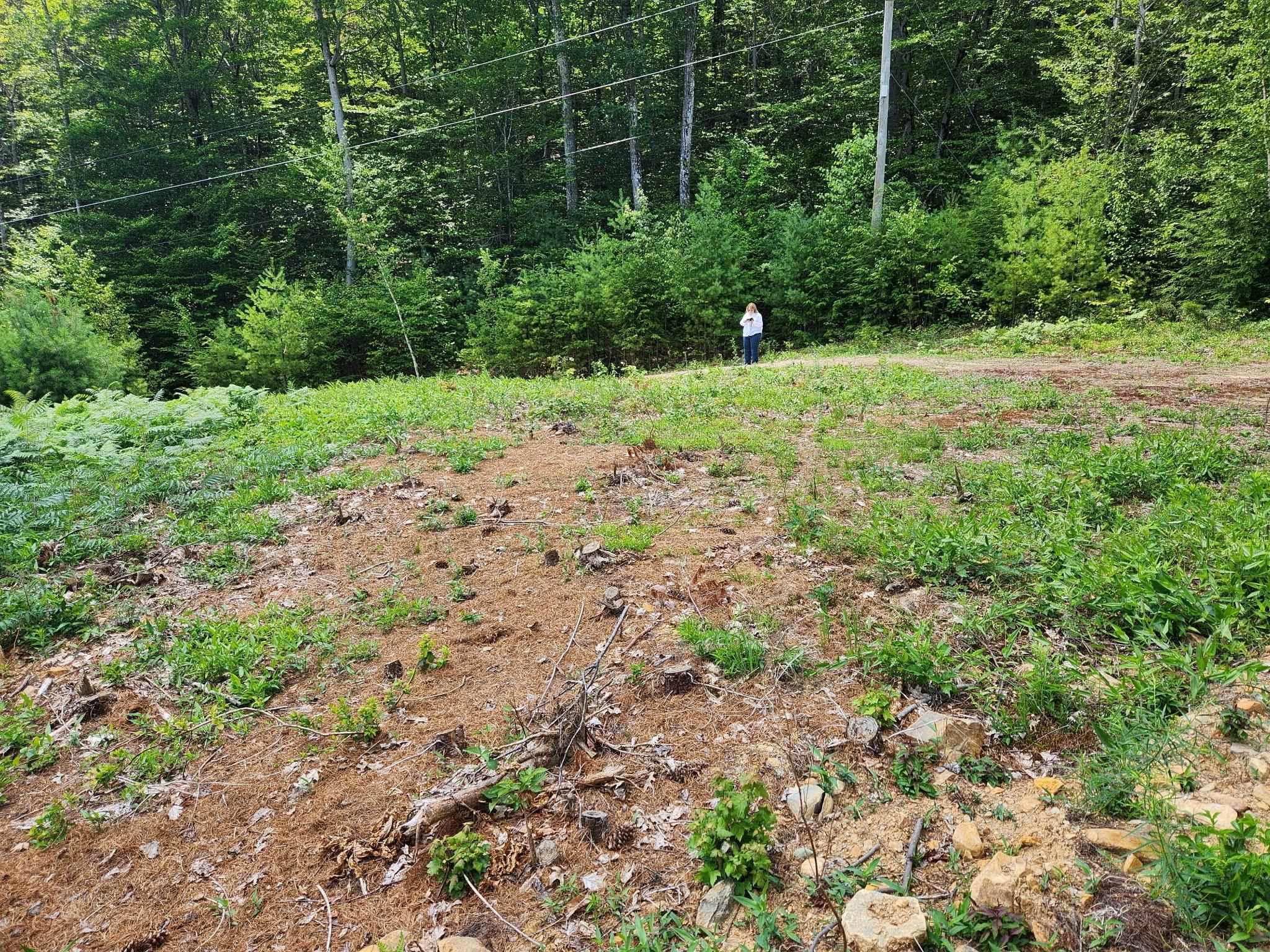 6 Buttonwood Road Holderness, NH 03245 - Photo 2 of 25