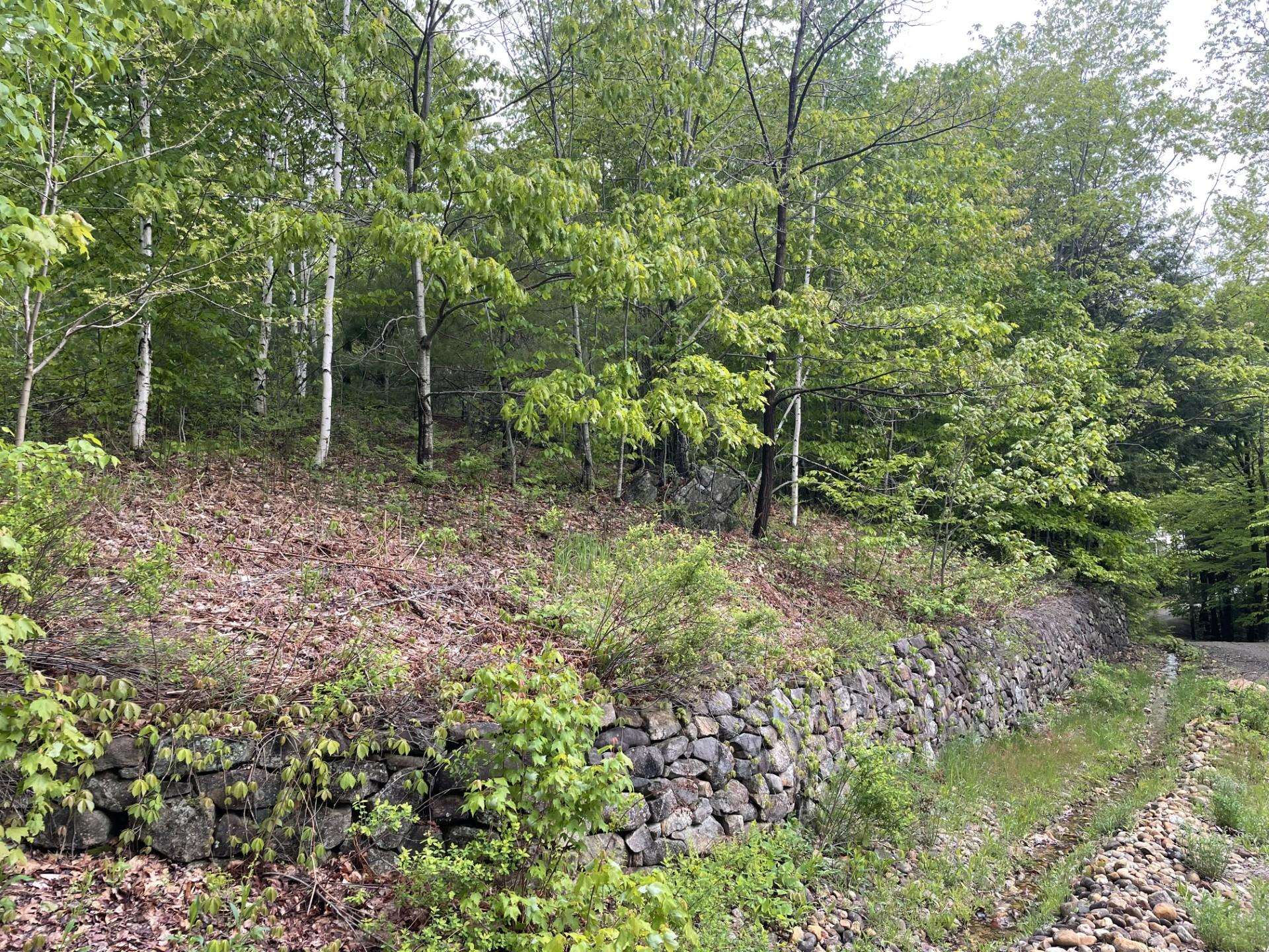 6 Buttonwood Road Holderness, NH 03245 - Photo 4 of 25