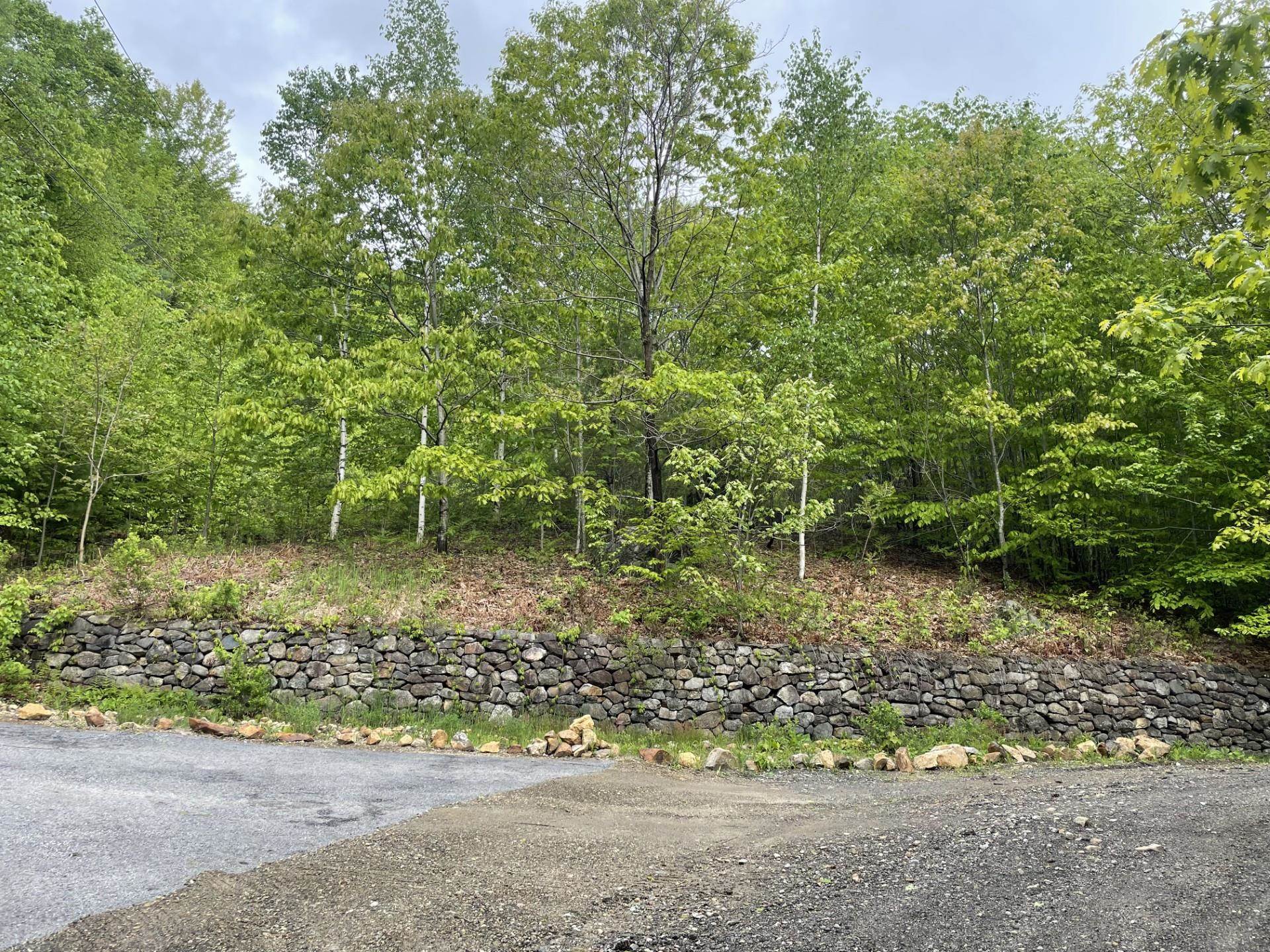 6 Buttonwood Road Holderness, NH 03245 - Photo 5 of 25