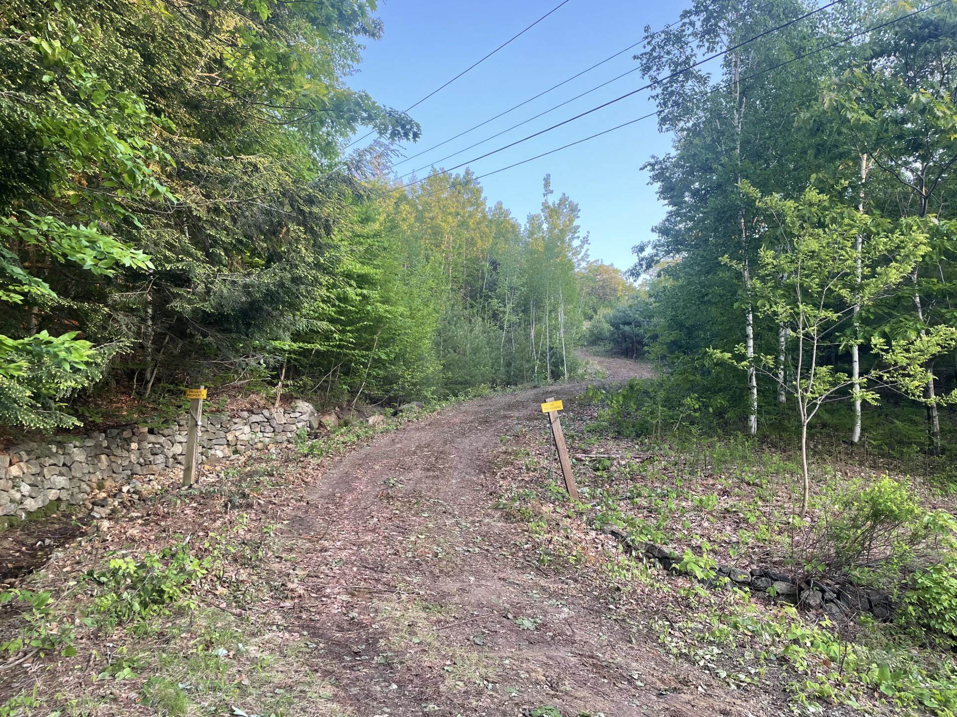 6 Buttonwood Road Holderness, NH 03245 - Photo 6 of 25