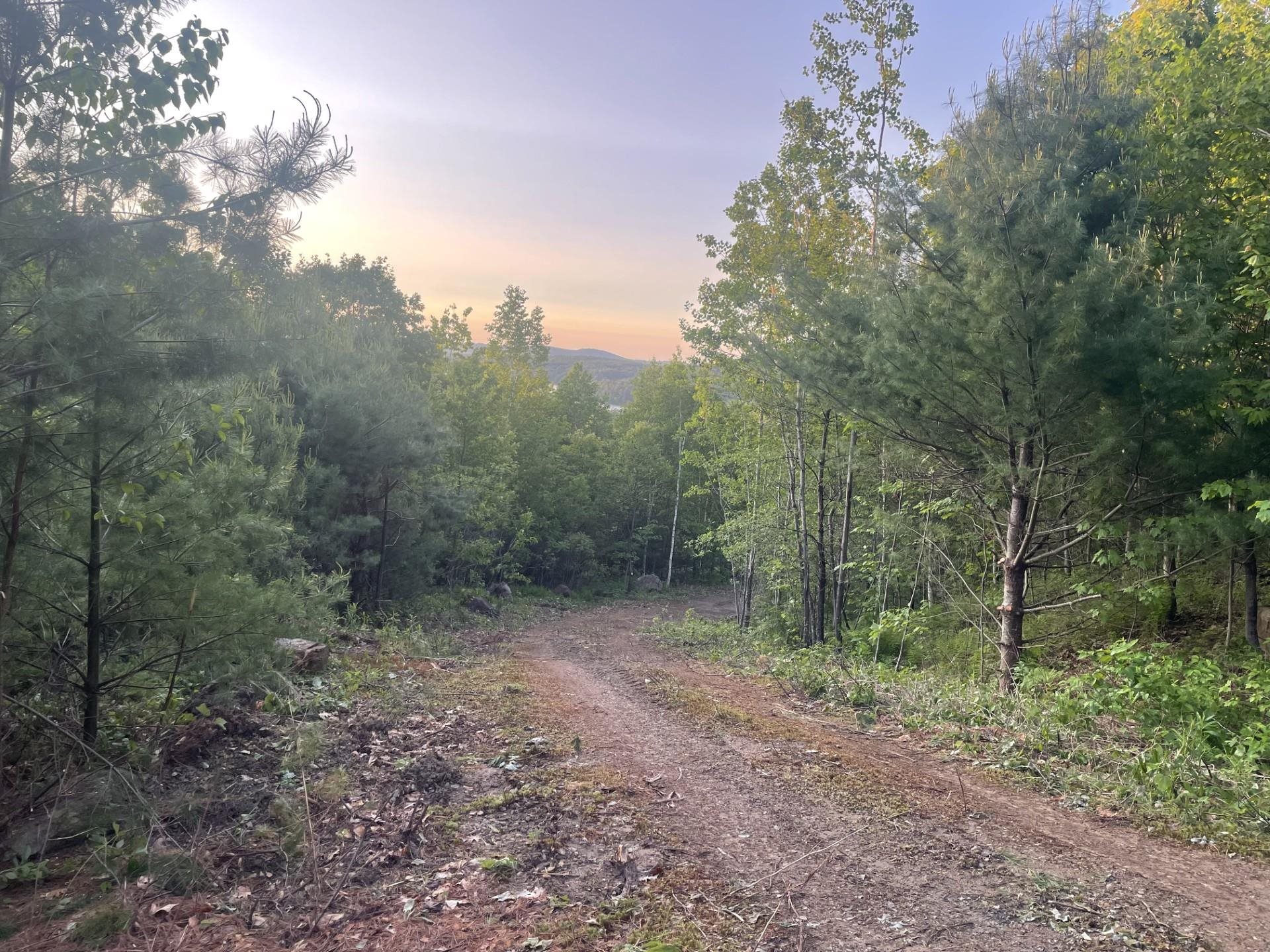 6 Buttonwood Road Holderness, NH 03245 - Photo 7 of 25