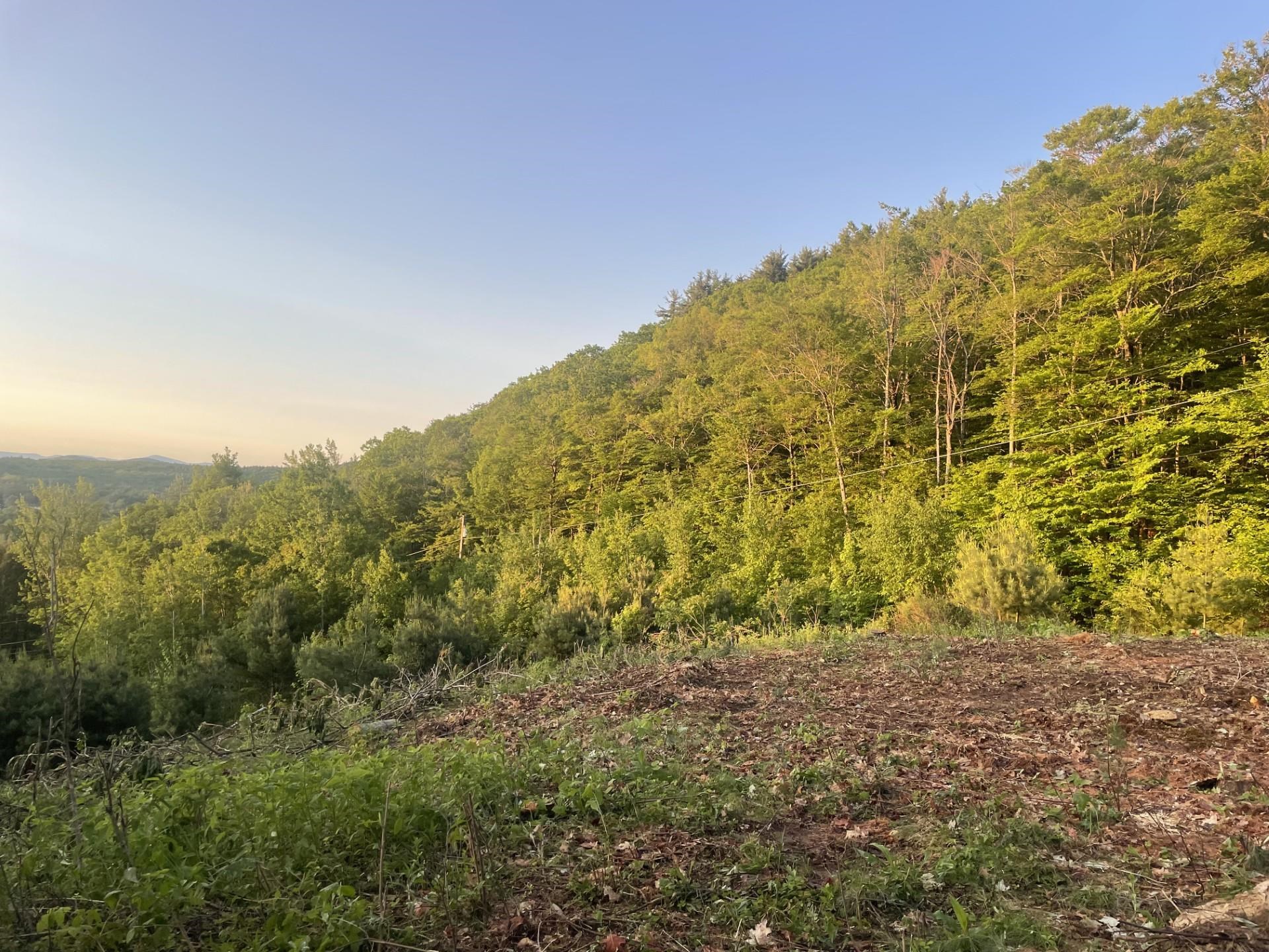 6 Buttonwood Road Holderness, NH 03245 - Photo 10 of 25