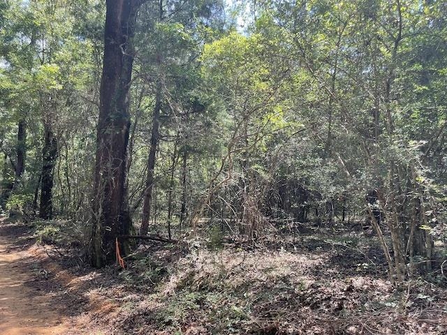 71290 Ralph Gantt Road Little River, AL 36550 - Photo 22 of 31