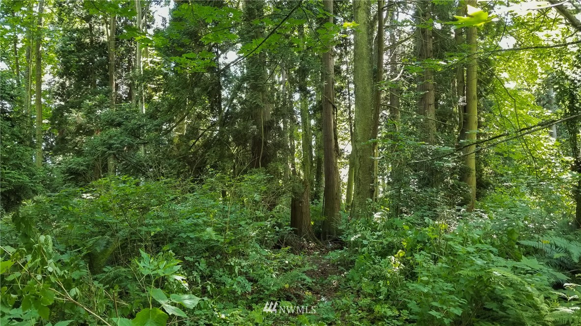 6148 A Kickerville Road Ferndale, WA 98248 - Photo 24 of 26